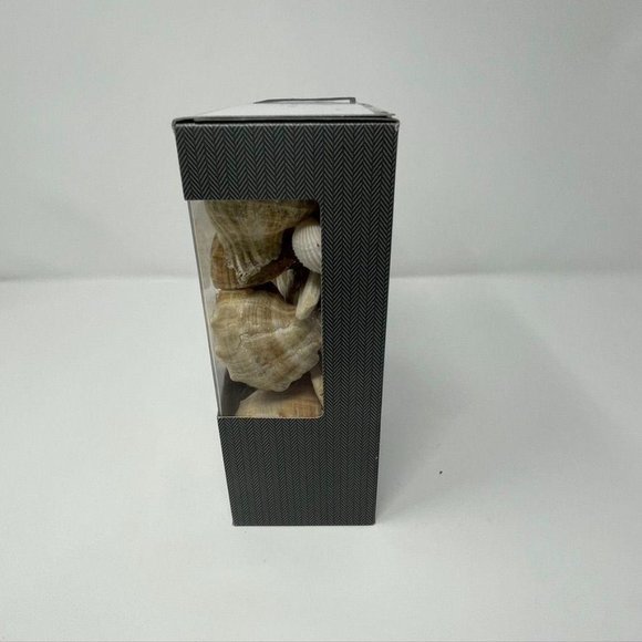 1.8lbs Unscented Shells Vase Filler Ivory/Brown - Picture 4 of 8